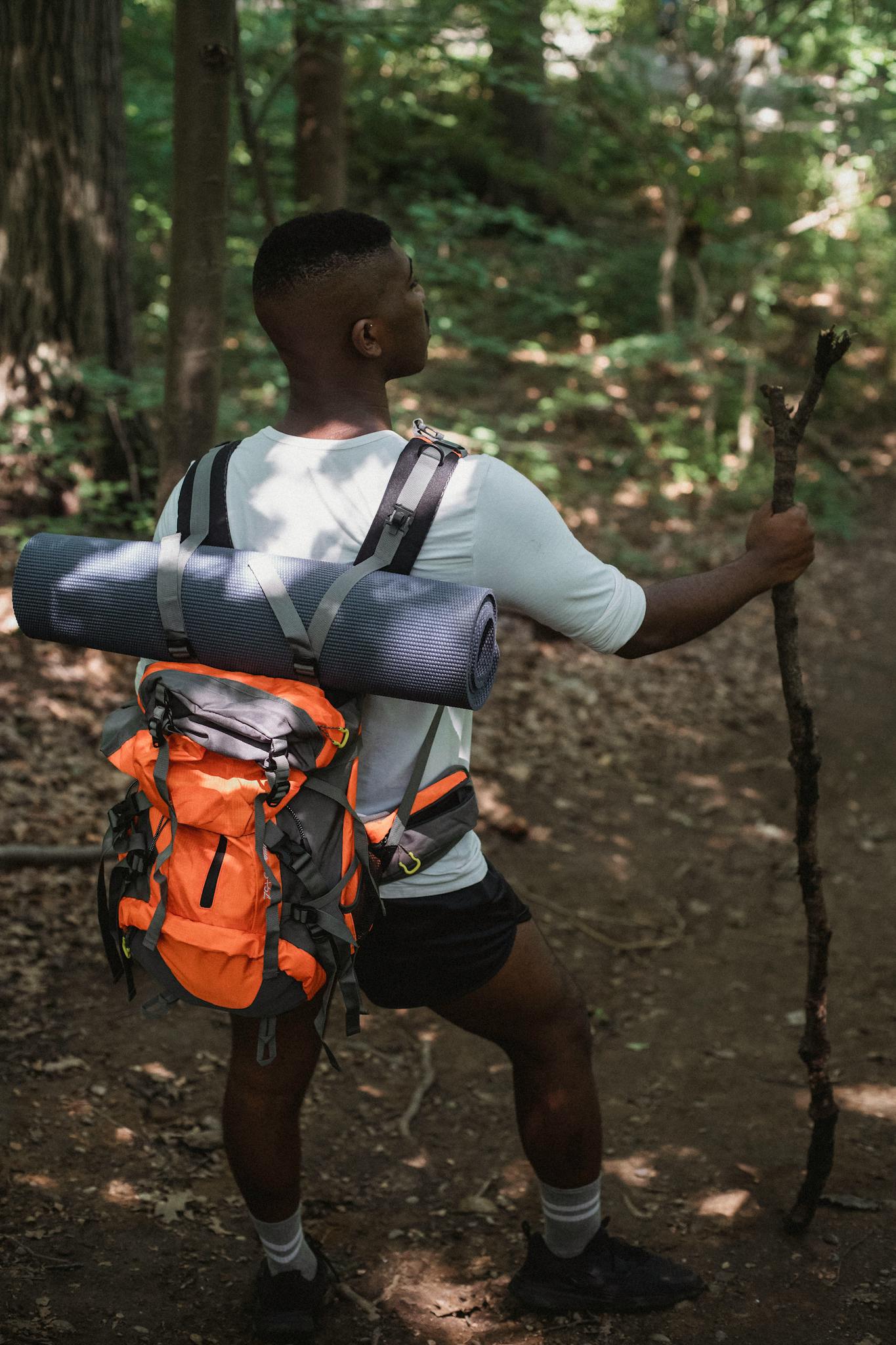 Back view of anonymous African American traveler with backpack with hiking equipment walking with wooden stick among green trees in forest in daytime