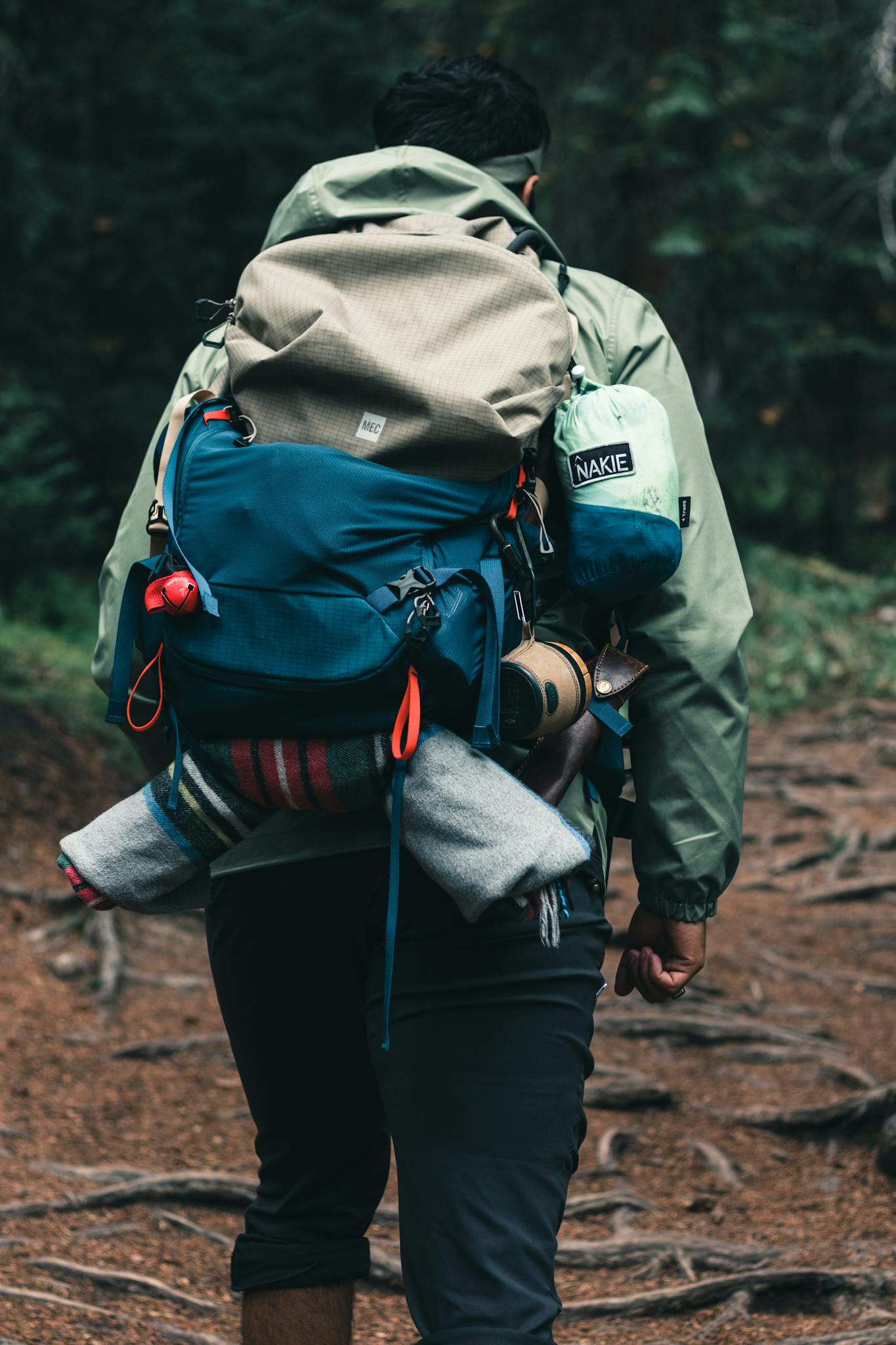 Rear view of a hiker carrying a backpack on a forest trail in Canada.